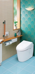 toilet